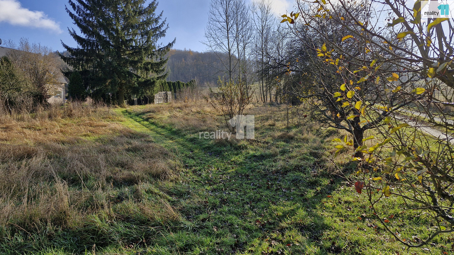 Prodej louky 1 669 m² — photo 3