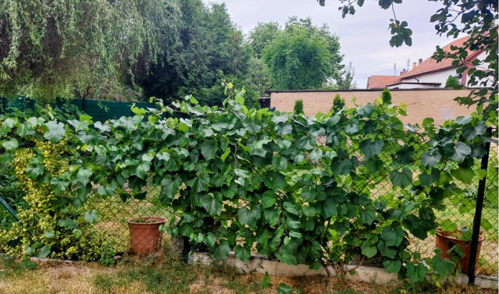 Prodej domu 280 m² s pozemkem 126 m², Nový Knín – náhled fotky 27