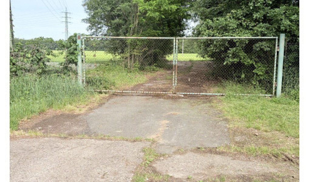 Pronájem louky 3 000 m², Pardubice – náhled fotky 4