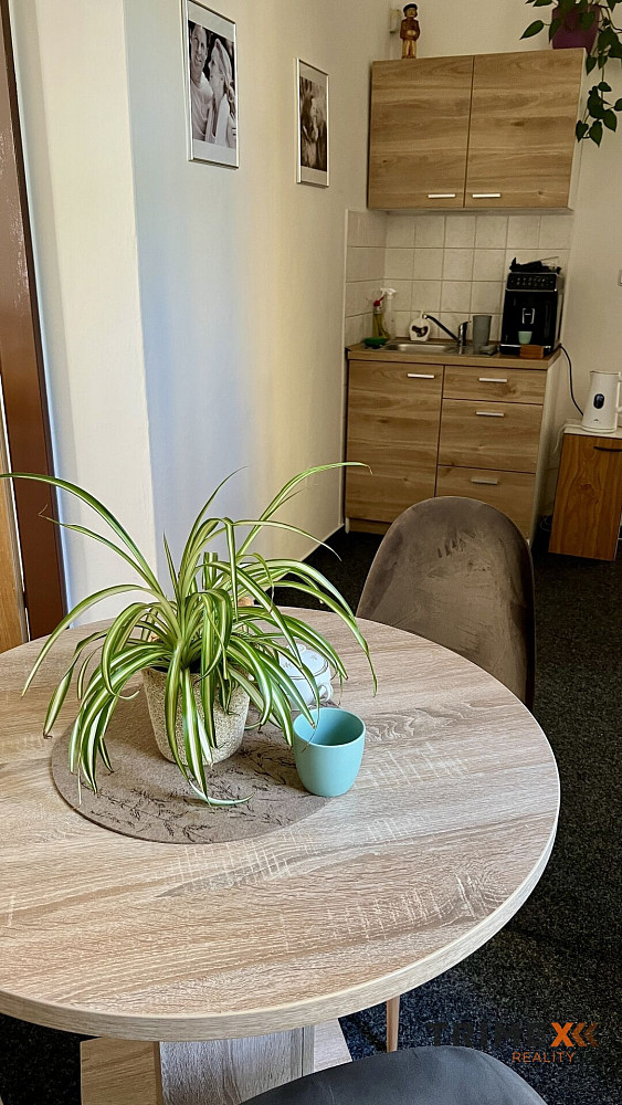 Pronájem kanceláře 34 m² – fotografie 3