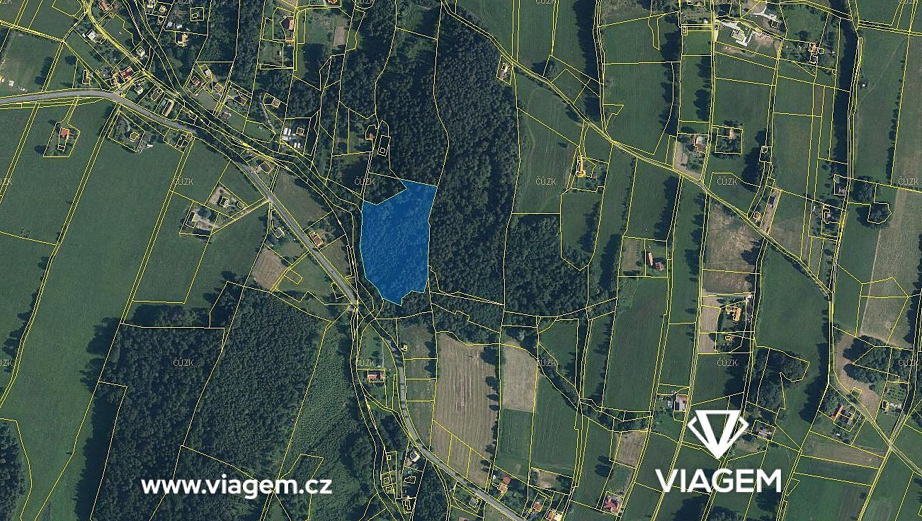Prodej lesa 1 420 m² – fotografie 3