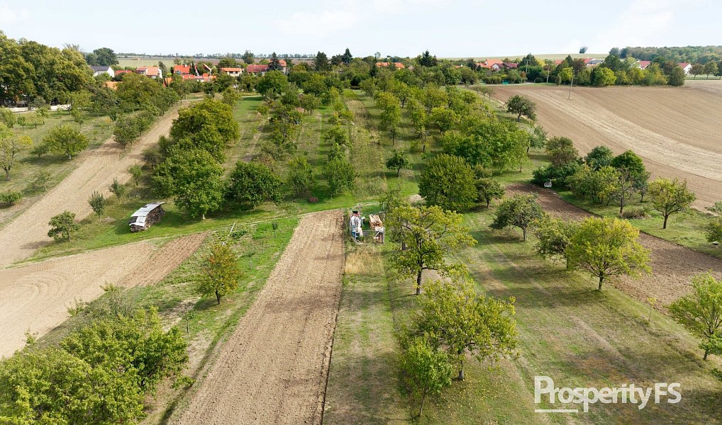Prodej zahrady 832 m², Prace – náhled fotky 3
