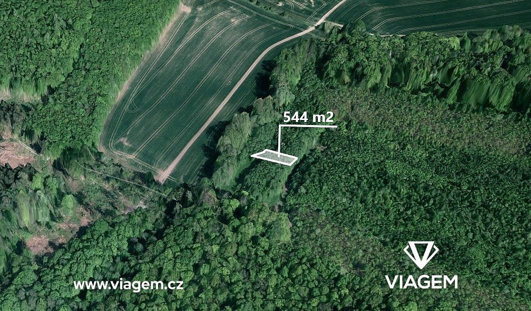 Prodej lesa 544 m²