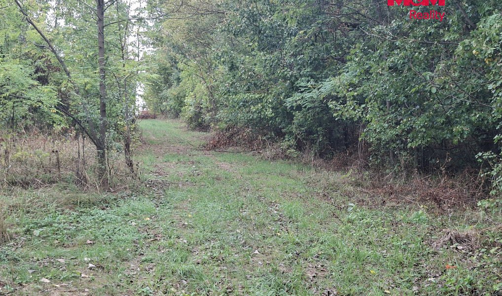Prodej lesa 815 m², Šakvice – náhled fotky 4