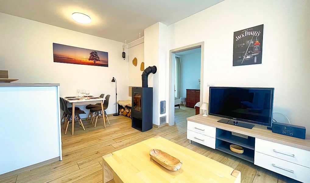 Prodej bytu 2+kk 45 m², Frymburk – náhled fotky 11