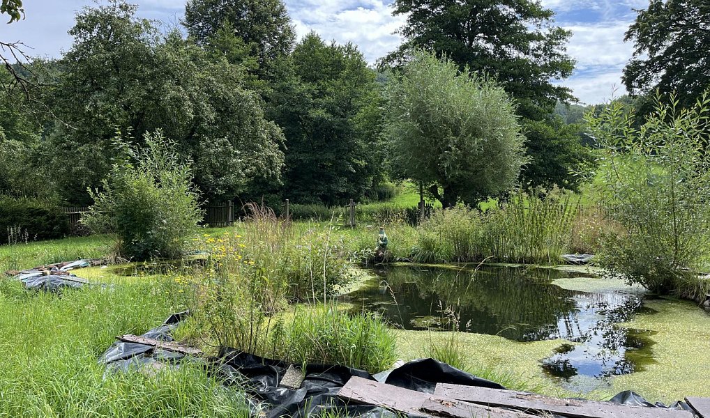 Prodej domu 92 m² s pozemkem 2 095 m², Rychnov na Moravě – náhled fotky 6