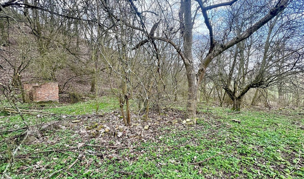 Prodej zahrady 6 042 m², Žatec – náhled fotky 5