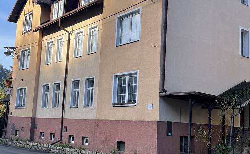 Prodej domu (jiného typu) 800 m², Oloví - Hory, okres Sokolov