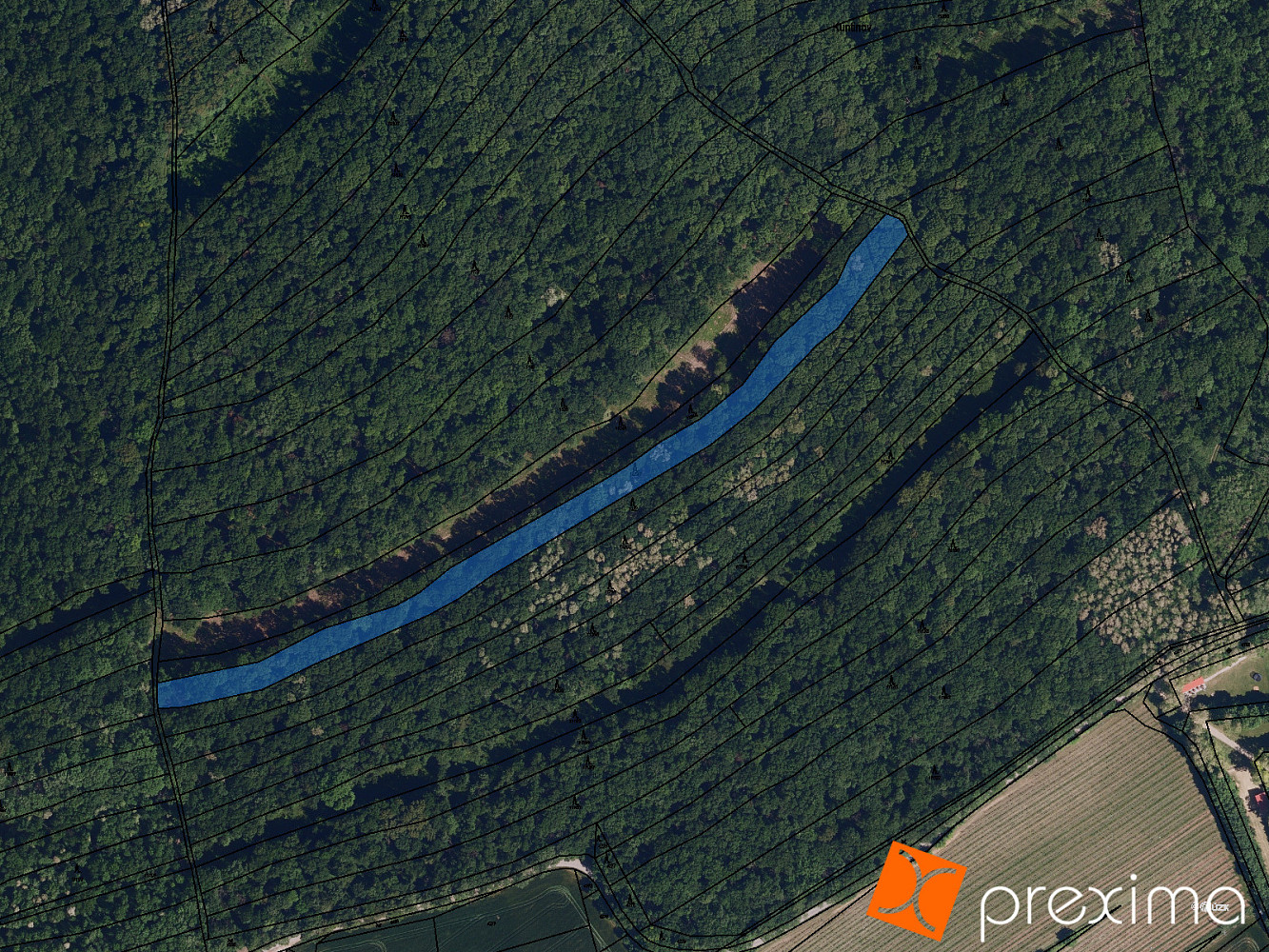 Prodej lesa 2 114 m²