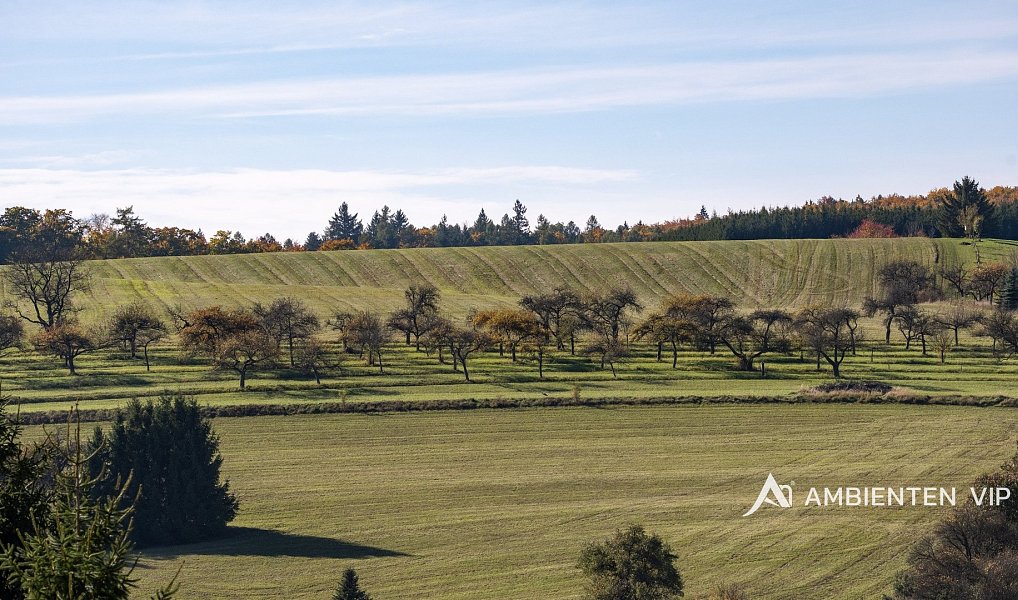 Prodej stavebního pozemku 1 195 m², Olomučany – náhled fotky 17