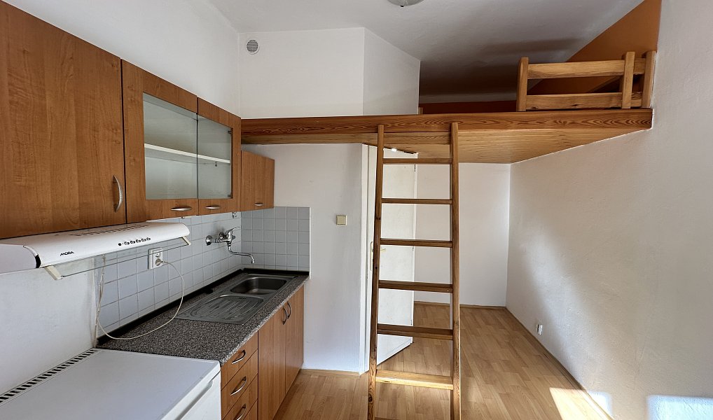 Pronájem bytu 1+kk, 13 m², Břevnov - Praha 6, Praha