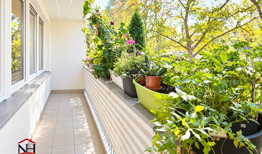 Prodej bytu 3+1 70 m², Teplice – náhled fotky 11