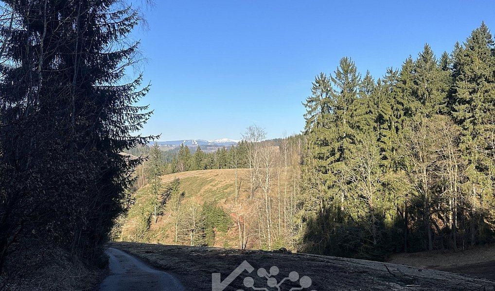 Prodej louky 15 029 m², Bozkov – náhled fotky 11