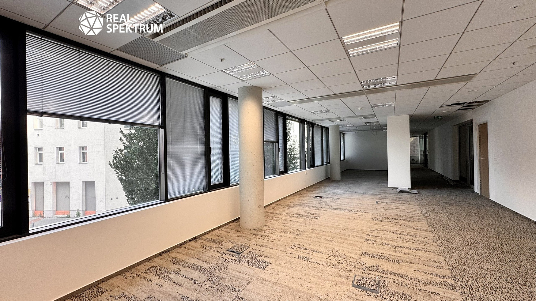 Pronájem kanceláře 249 m² – fotografie 3