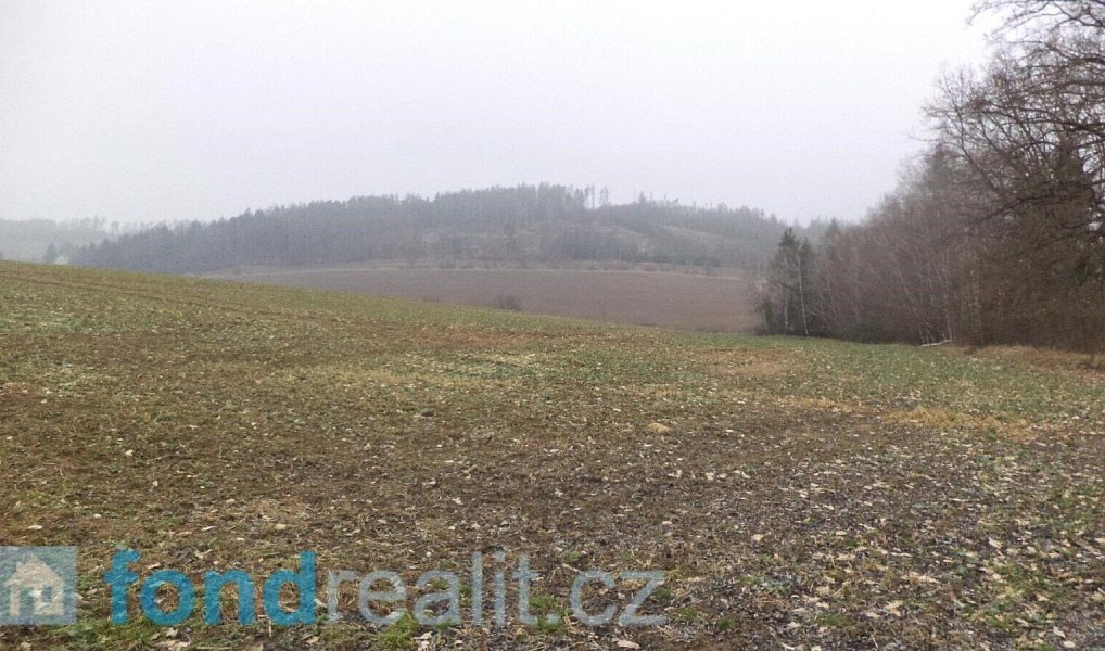 Prodej pole 41 964 m², Zvěstov – náhled fotky 4