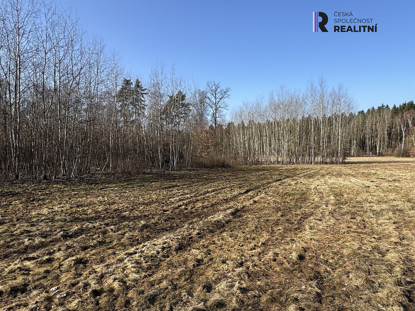 Prodej pozemku 5 750 m² – fotografie 3