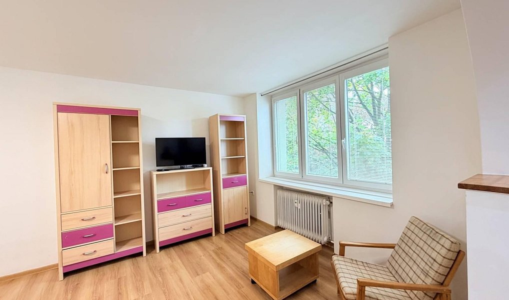 Pronájem bytu 1+1 35 m², Chomutov – náhled fotky 6