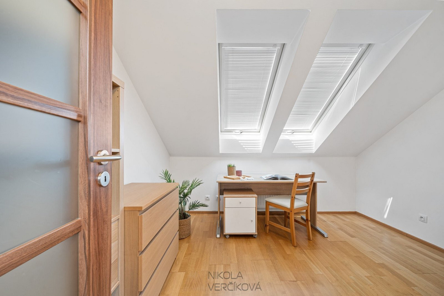 3+kk Apartment in Brno, Veveří – další