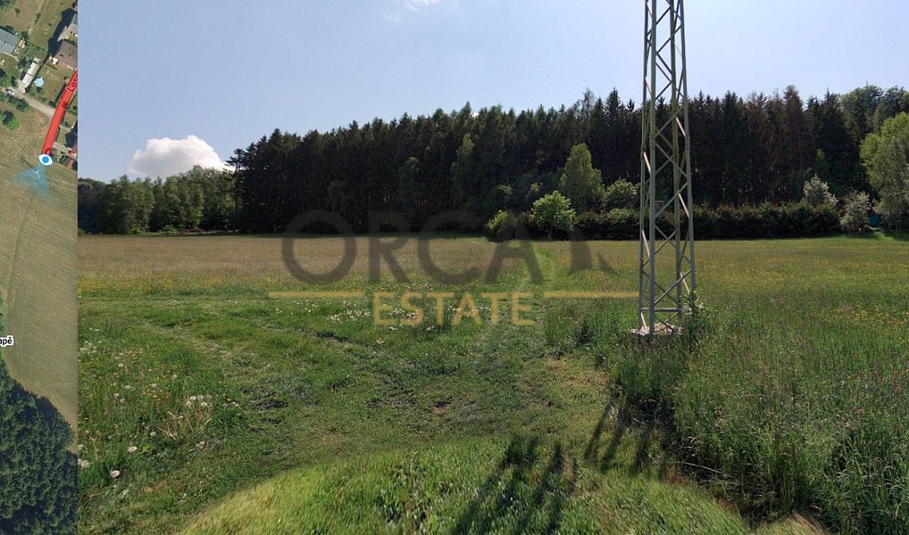 Prodej lesa 2 174 m², Ústí nad Orlicí – náhled fotky 5