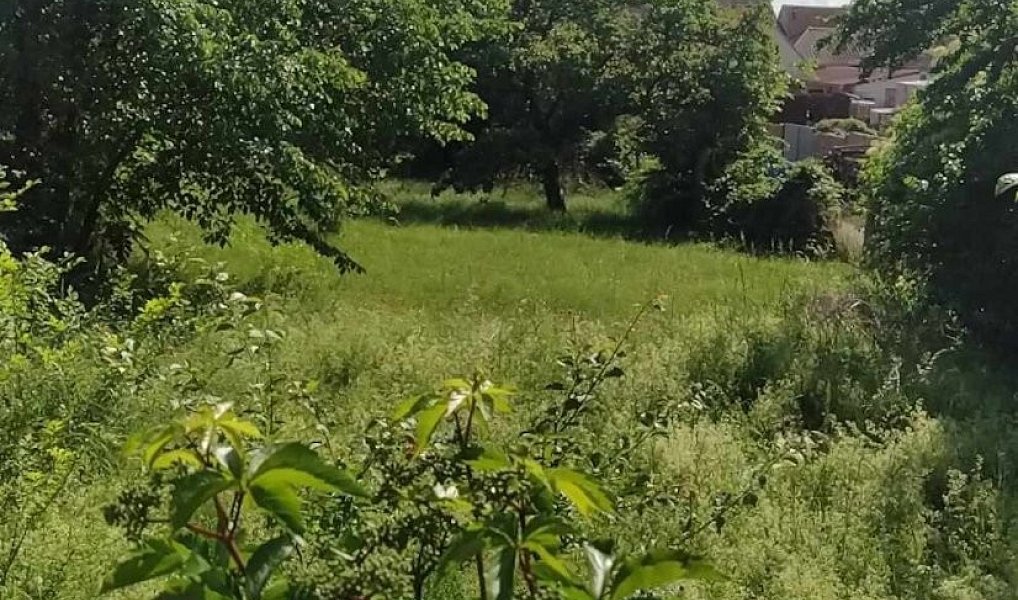 Prodej stavebního pozemku 659 m², Šanov – náhled fotky 3