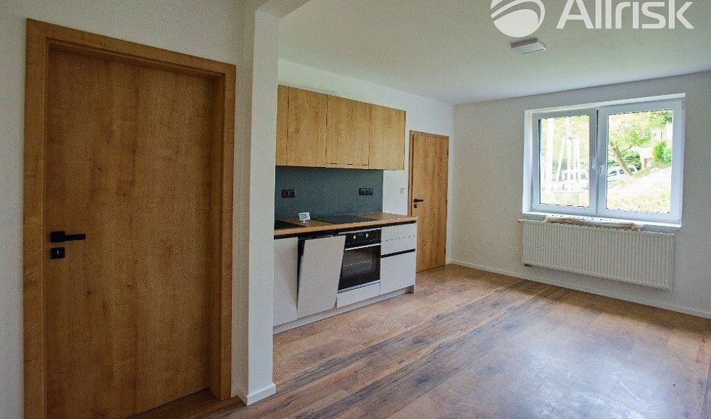 Prodej bytu 3+kk 48 m², Brno – náhled fotky 16