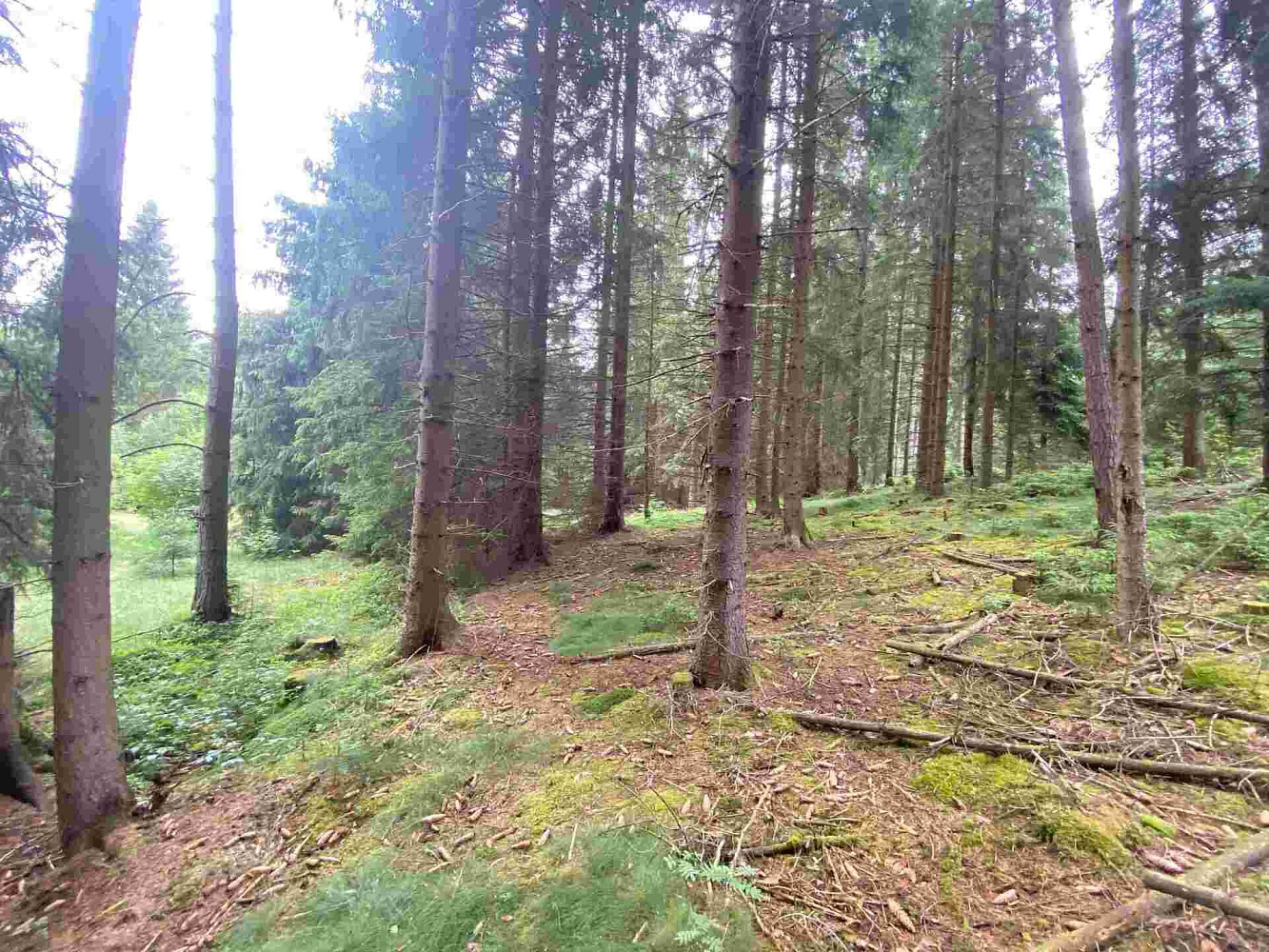 Prodej pole 1 440 m² – fotografie 3