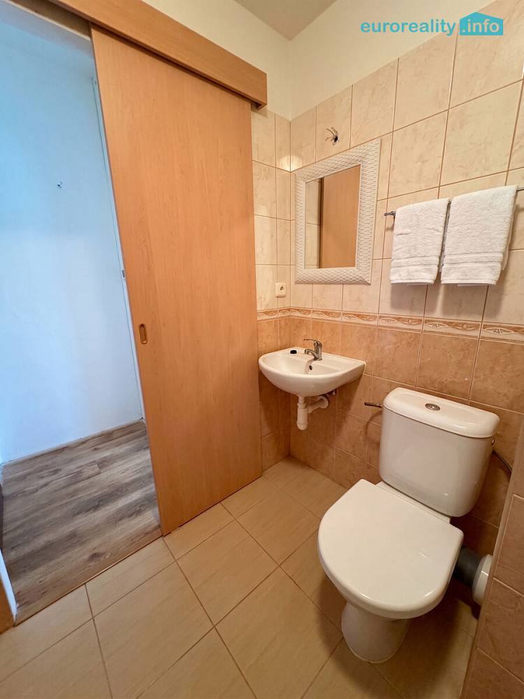 Pronájem bytu 1+kk 20 m² – fotografie 4