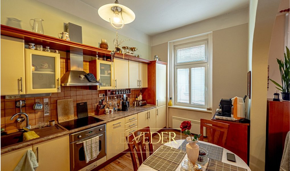 Prodej domu 430 m² s pozemkem 285 m², Teplice – náhled fotky 9