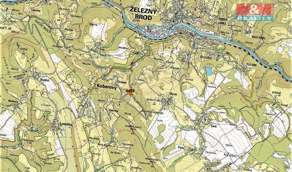 Prodej lesa 2 062 m², Koberovy – náhled fotky 6