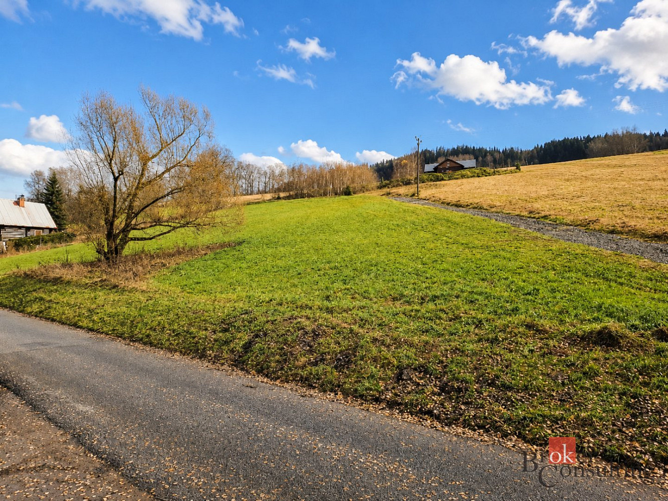 Prodej stavebního pozemku 4 354 m² – fotografie 4