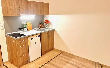 Pronájem bytu 1+kk 46 m², Březinova, Olomouc - Hodolany