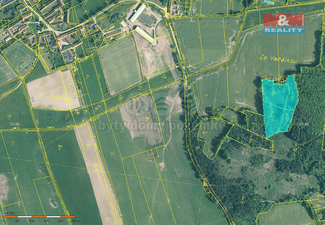 Prodej lesa 20 093 m²