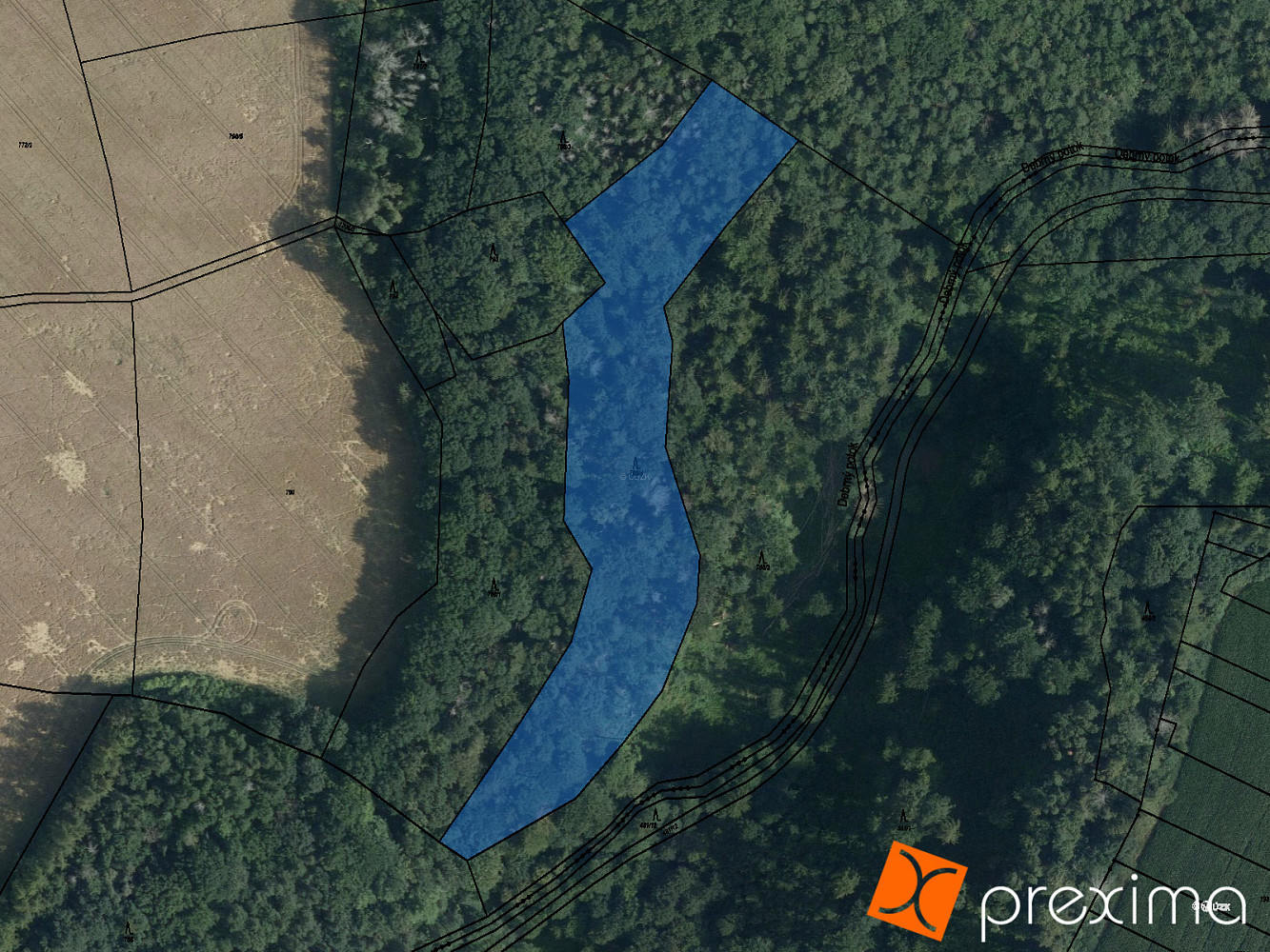 Prodej lesa 1 020 m², České Lhotice