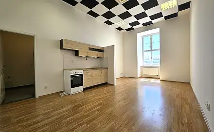 Pronájem bytu 1+kk 33 m², Masarykova, Brno