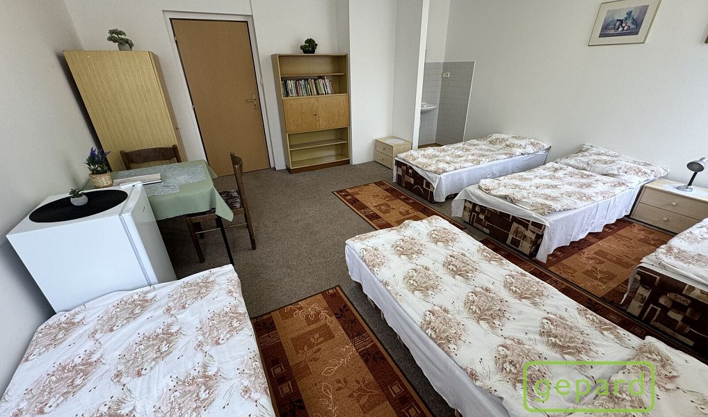 Prodej ubytovacího objektu 800 m², Český Krumlov – náhled fotky 23