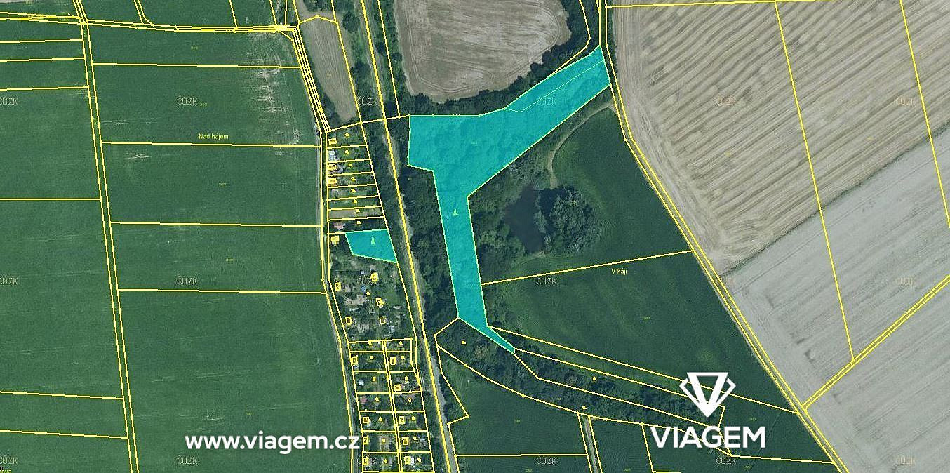 Prodej lesa 2 098 m²
