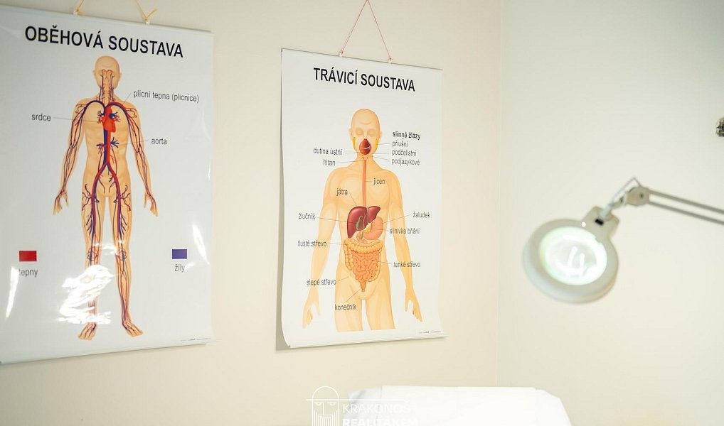 Pronájem komerčního objektu (jiného typu) 96 m², Hranice – náhled fotky 17