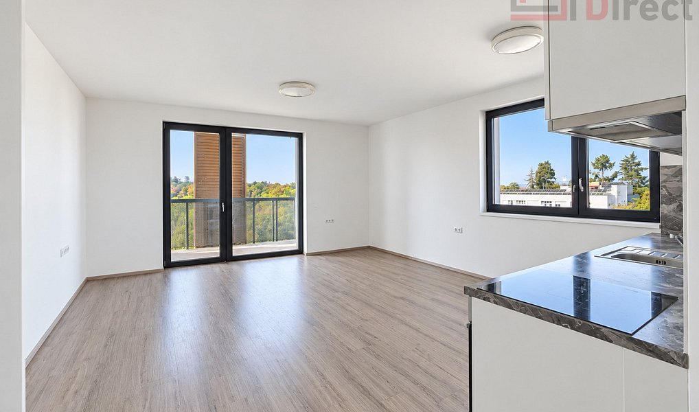 Pronájem bytu 1+kk 48 m², Mladá Boleslav – fotka 1 z 7