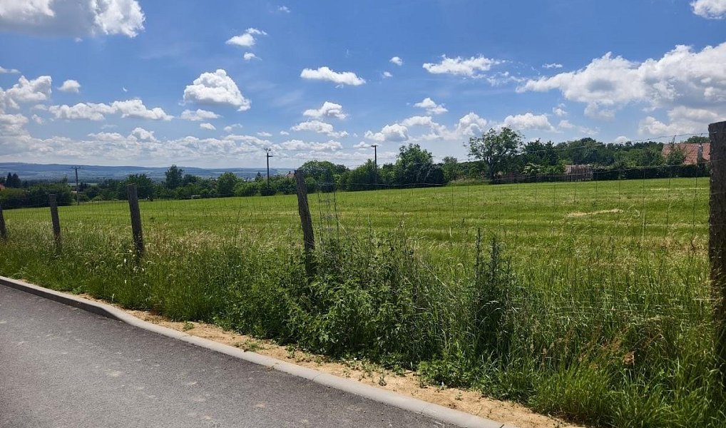 Prodej stavebního pozemku 867 m², Radslavice – náhled fotky 8