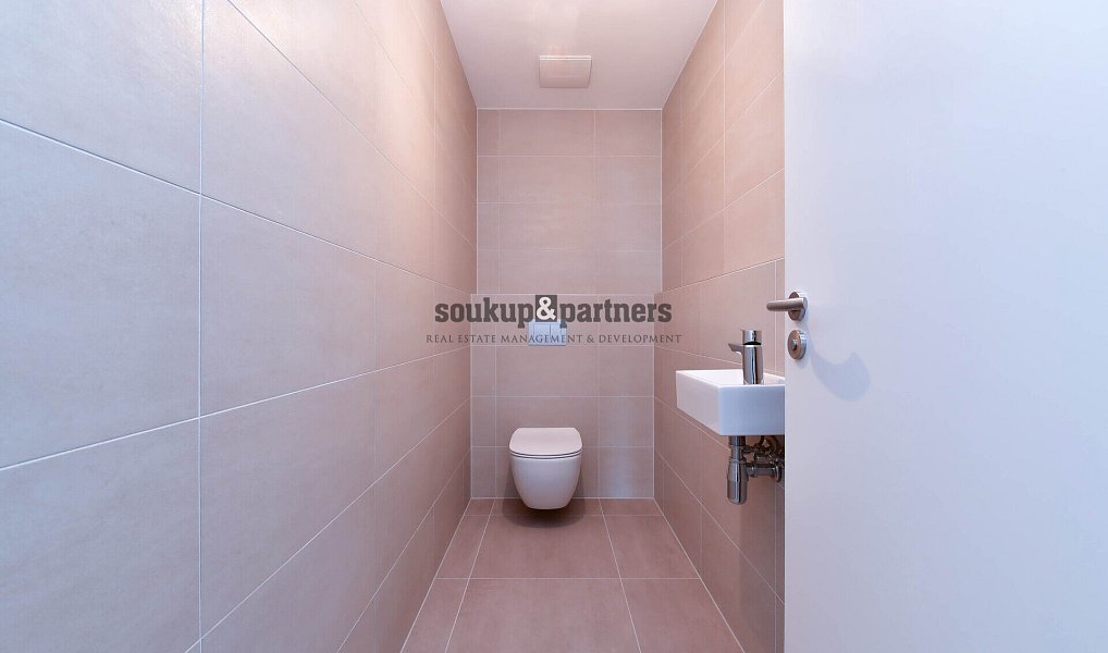 Pronájem bytu 3+kk 117 m², Praha – náhled fotky 10