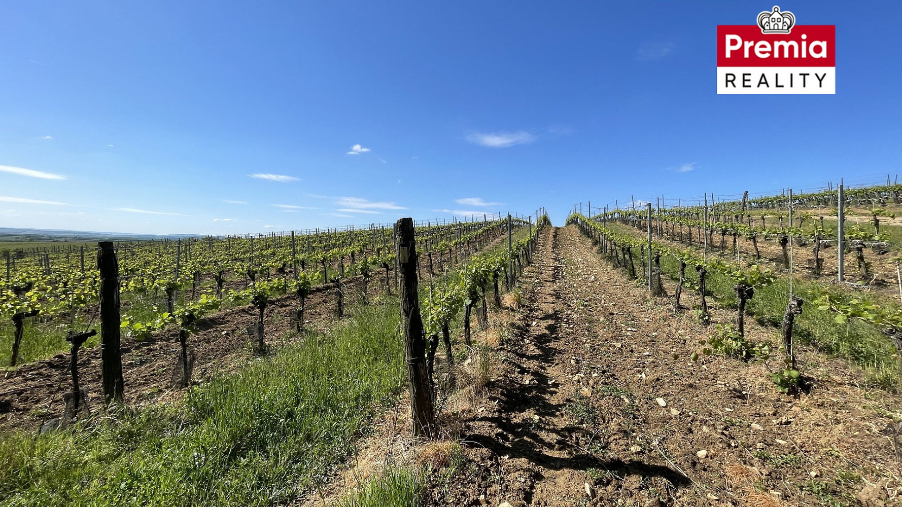 Fotka 18 z 22