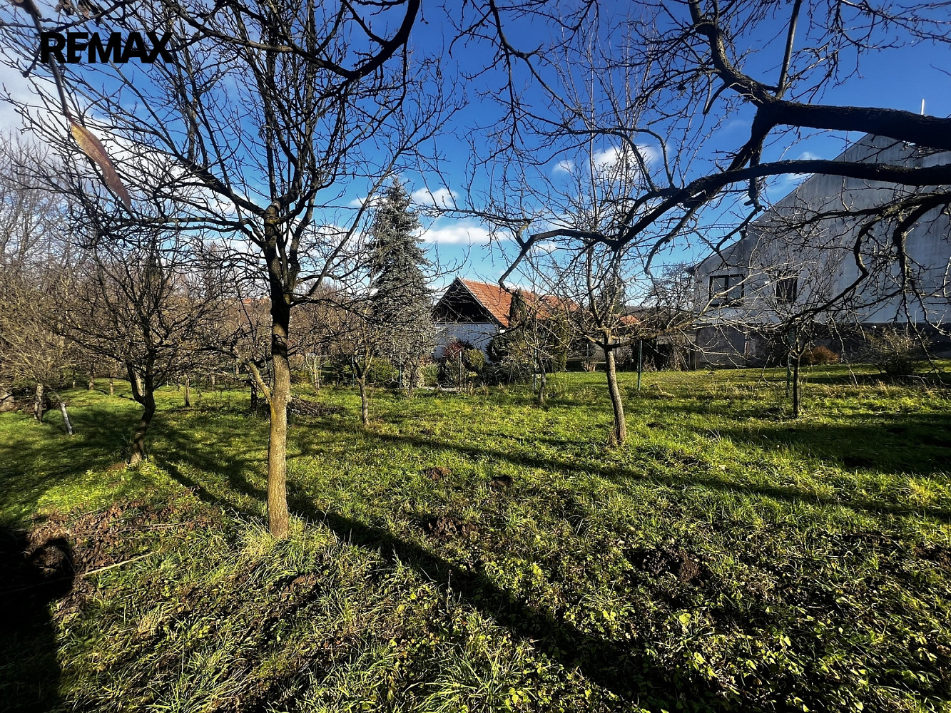 Prodej stavebního pozemku 1 608 m² – fotografie 4
