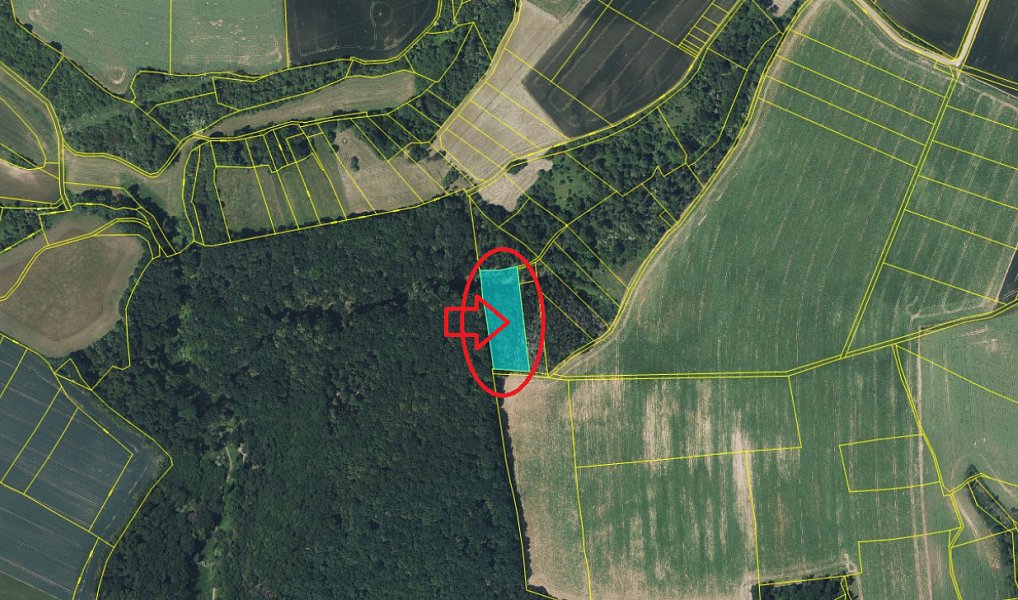 Prodej lesa 5 226 m², Nebužely – náhled fotky 6
