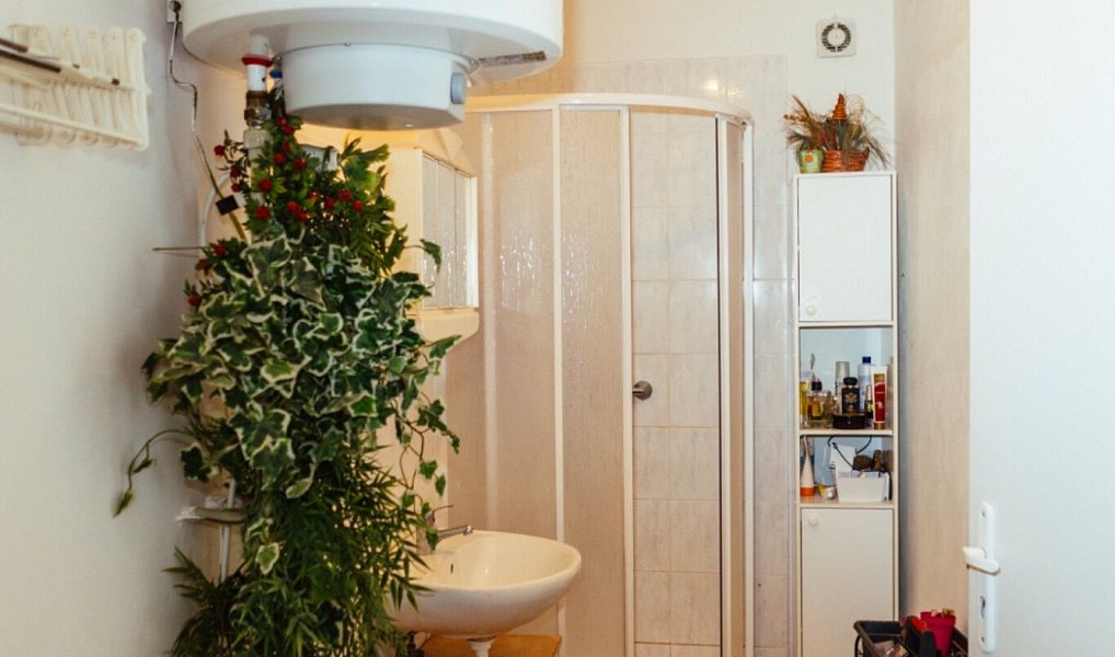 Prodej chaty/chalupy 65 m² s pozemkem 442 m², Malé Kyšice – náhled fotky 16