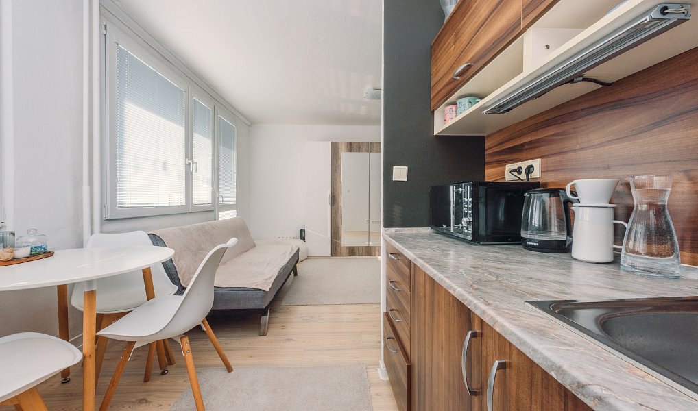 Prodej bytu 1+1 43 m², Pardubice – náhled fotky 2