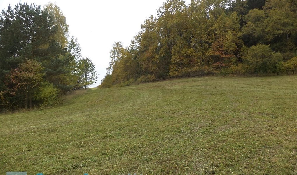 Prodej komerčního pozemku 4 068 m², Vidochov – náhled fotky 2