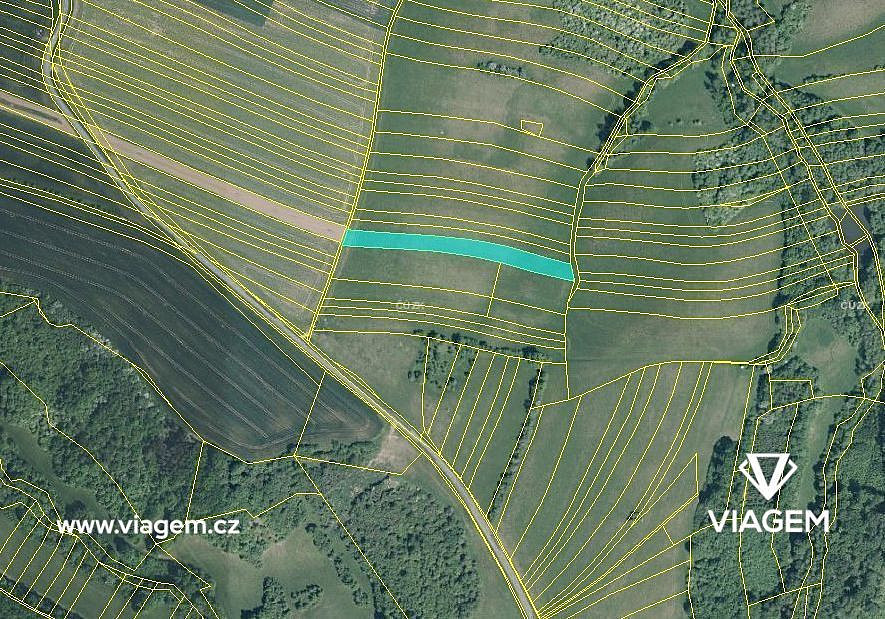 Prodej pole 1 165 m² – fotografie 3