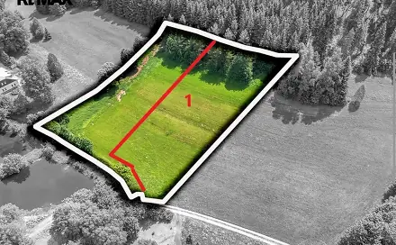 Prodej stavebního pozemku 3 948 m², Červená Voda, okres Ústí nad Orlicí