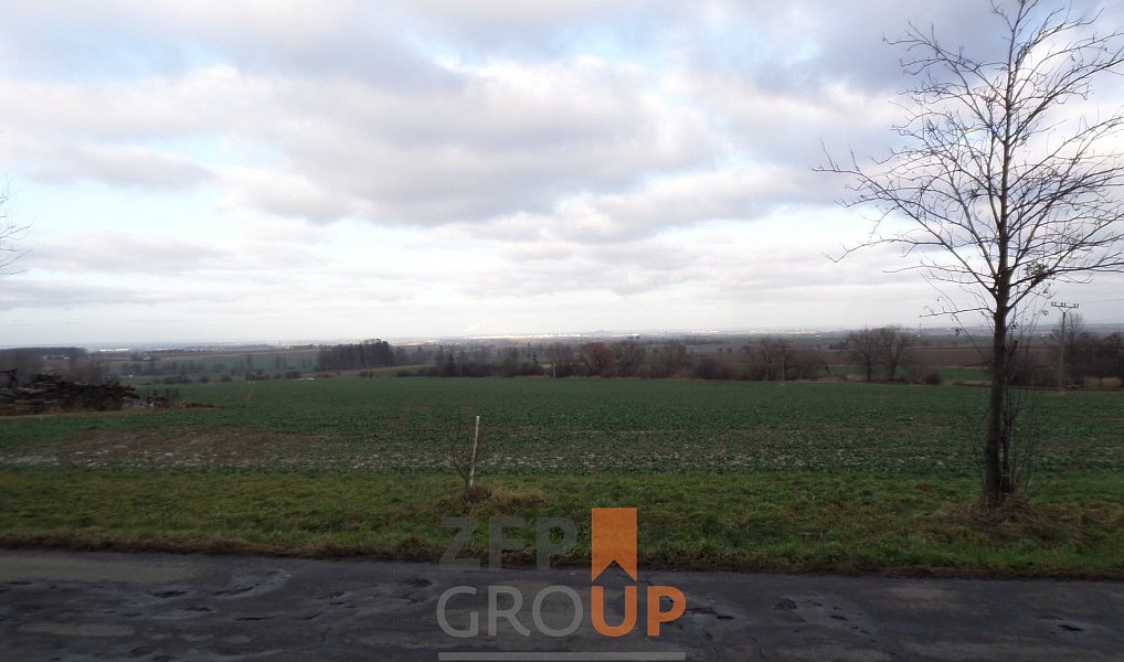 Prodej stavebního pozemku 13 343 m², Heřmanův Městec – náhled fotky 6