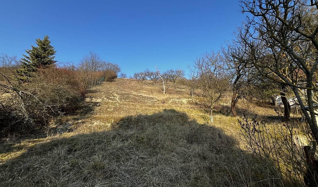 Prodej domu 47 m² s pozemkem 2 956 m², Trnovany – náhled fotky 14